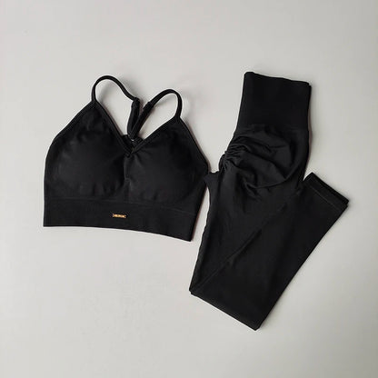 Conjunto Fitness Feminino 2 Peças Sem Costura – Top e Legging Secagem Rápida e Levanta Bumbum