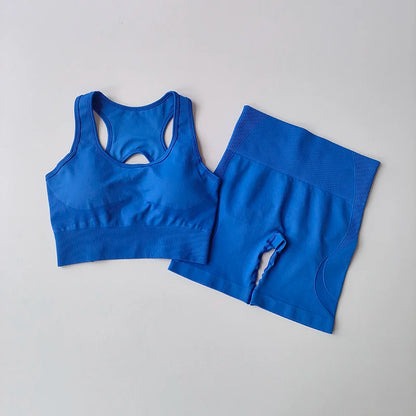 Conjunto Fitness Feminino 2 Peças – Top Sem Costura e Shorts Cintura Alta para Treino e Yoga