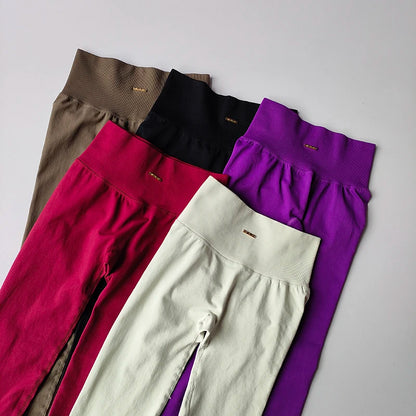 Conjunto Fitness Feminino 2 Peças Sem Costura – Top e Legging Secagem Rápida e Levanta Bumbum